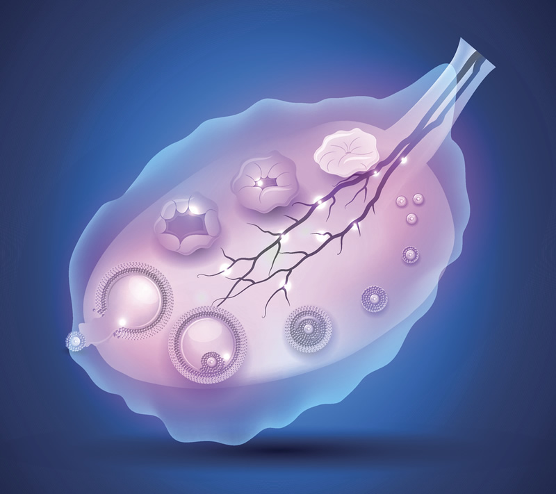 2026年去日本试管的正规机构介绍